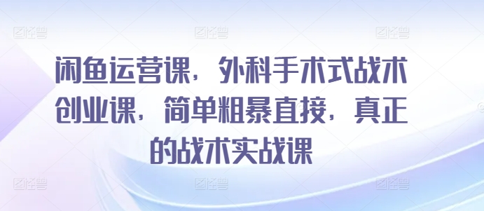 闲鱼运营课，外科手术式战术创业课，简单粗暴直接，真正的战术实战课-夜影资源