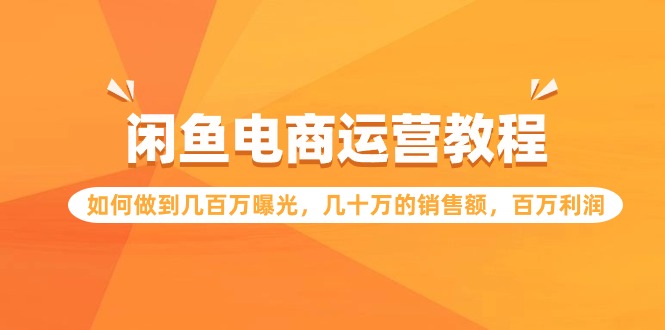 闲鱼电商运营教程：如何做到几百万曝光，几十万的销售额，百万利润-夜影资源