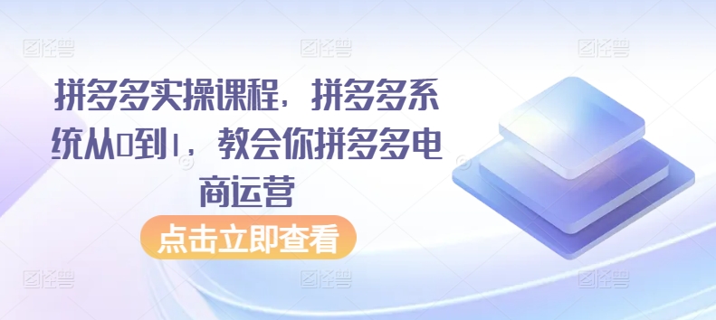 拼多多实操课程，拼多多系统从0到1，教会你拼多多电商运营-夜影资源