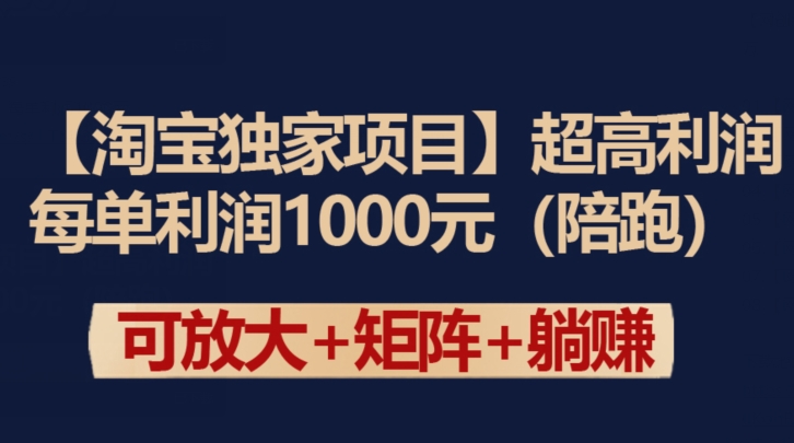 【淘宝独家项目】超高利润：每单利润1000元-夜影资源