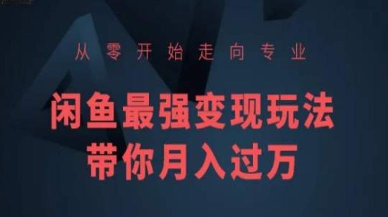 从零开始走向专业，闲鱼最强变现玩法带你月入过万-夜影资源
