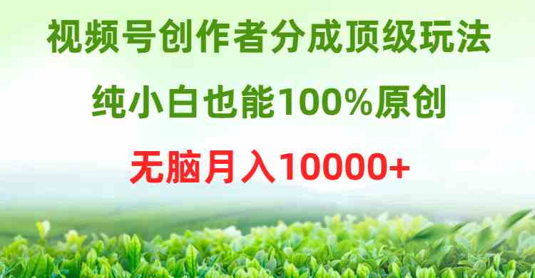 （9608期）视频号创作者分成顶级玩法，纯小白也能100%原创，无脑月入10000+-夜影资源