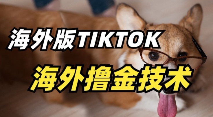 抖音海外版tiktok撸金技术，这个风口行业，赚钱真的不难-夜影资源