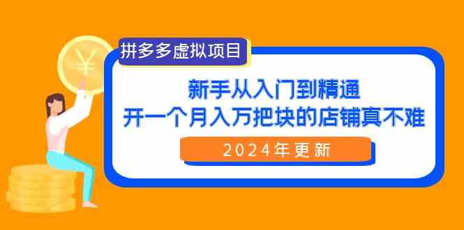 （9744期）拼多多虚拟项目：入门到精通，开一个月入万把块的店铺 真不难（24年更新）-夜影资源