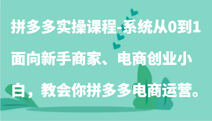 拼多多实操课程-系统从0到1，面向新手商家、电商创业小白，教会你拼多多电商运营。-夜影资源