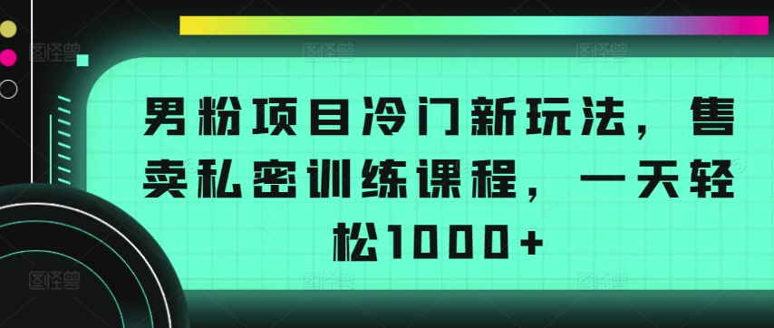 男粉项目冷门新玩法，售卖私密训练课程，一天轻松1000+-夜影资源