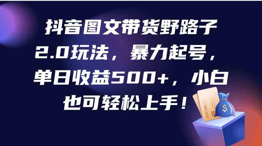 （9790期）抖音图文带货野路子2.0玩法，暴力起号，单日收益500+，小白也可轻松上手！-夜影资源
