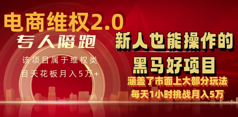 电商维权 4.0 如何做到月入 5 万+每天 1 小时新人也能快速上手【仅揭秘】-夜影资源