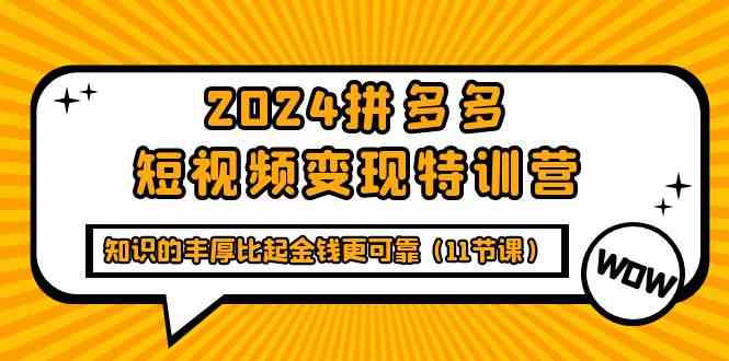 2024拼多多短视频变现特训营，知识的丰厚比起金钱更可靠（11节课）-夜影资源