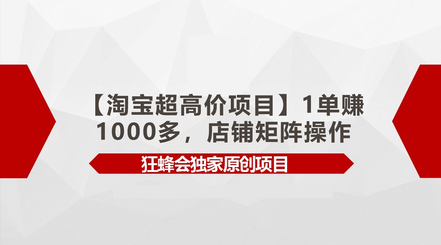【淘宝超高价项目】1单赚1000多，店铺矩阵操作-夜影资源