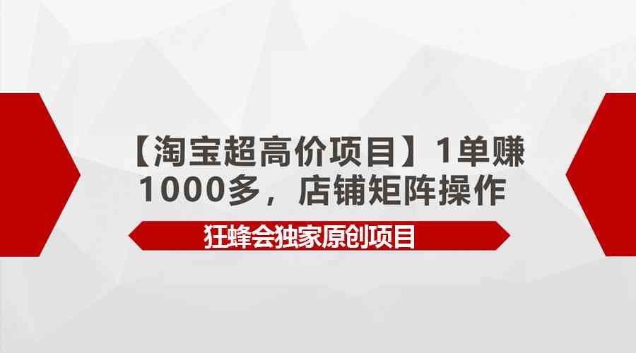 （9849期）【淘宝超高价项目】1单赚1000多，店铺矩阵操作-夜影资源