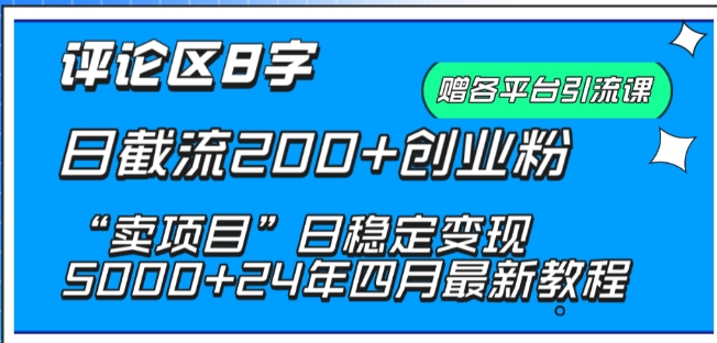 抖音评论区8字日截流200+创业粉 “卖项目”日稳定变现5000+-夜影资源