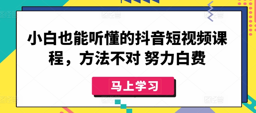 小白也能听懂的抖音短视频课程，方法不对 努力白费-夜影资源