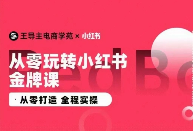 王导主·小红书电商运营实操课，​从零打造  全程实操-夜影资源