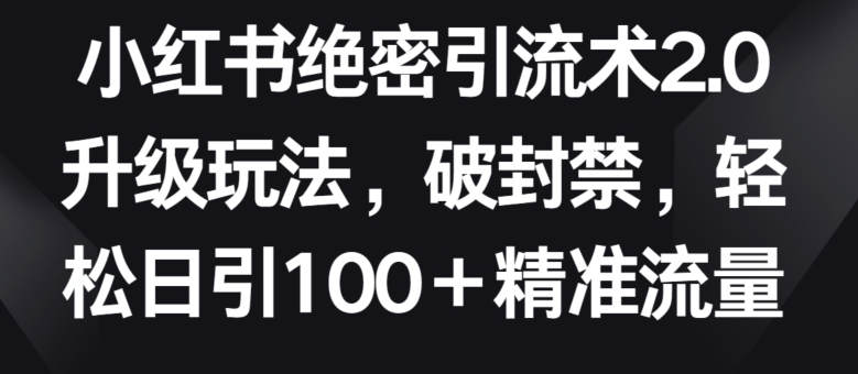 小红书绝密引流术2.0升级玩法，破封禁，轻松日引100+精准流量-夜影资源