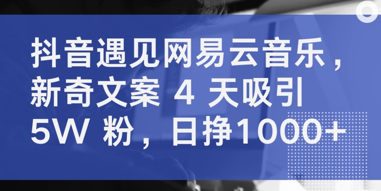 抖音遇见网易云音乐，新奇文案 4 天吸引 5W 粉，日挣1000+-夜影资源