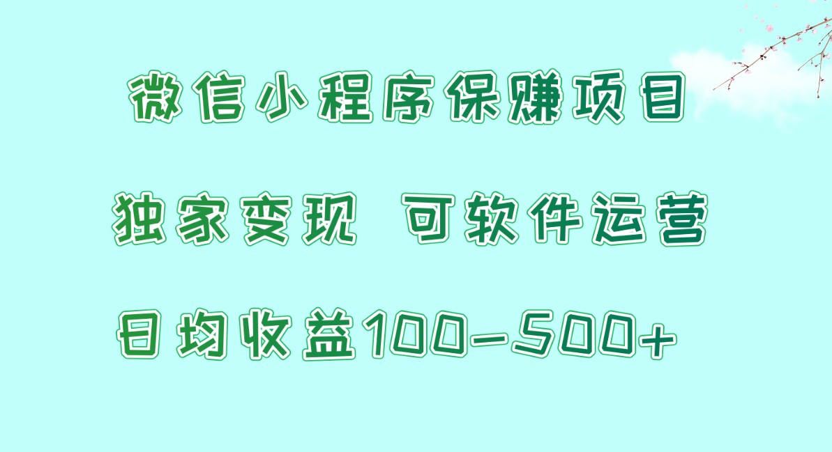 微信小程序保赚项目，日均收益100~500+，独家变现，可软件运营-夜影资源