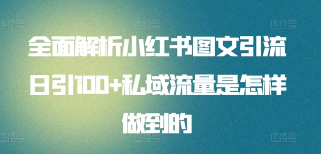 全面解析小红书图文引流日引100+私域流量是怎样做到的-夜影资源