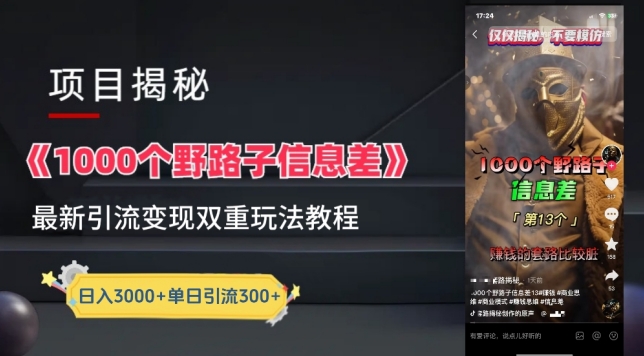 一千个野路子信息差最新玩法教程-变现+引流的玩法具体拆解-夜影资源