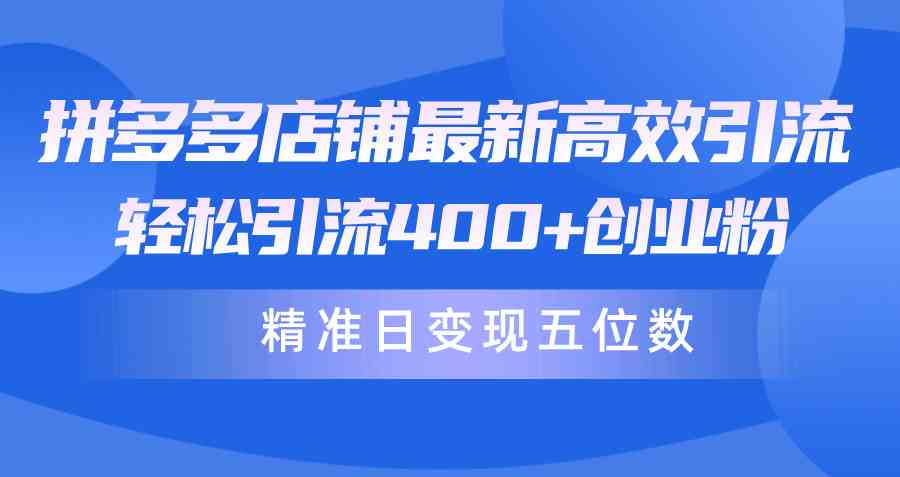 （10041期）拼多多店铺最新高效引流术，轻松引流400+创业粉，精准日变现五位数！-夜影资源