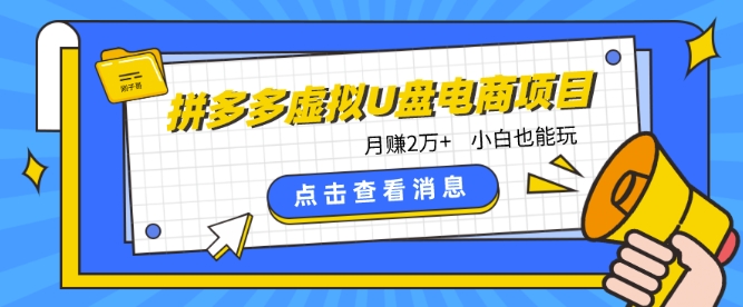 拼多多虚拟U盘电商红利项目：月赚2万+，新手小白也能玩-夜影资源