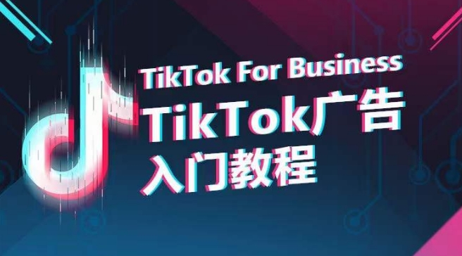 TikTok广告入门教程，从0到1掌握TikTok投放的全流程-夜影资源