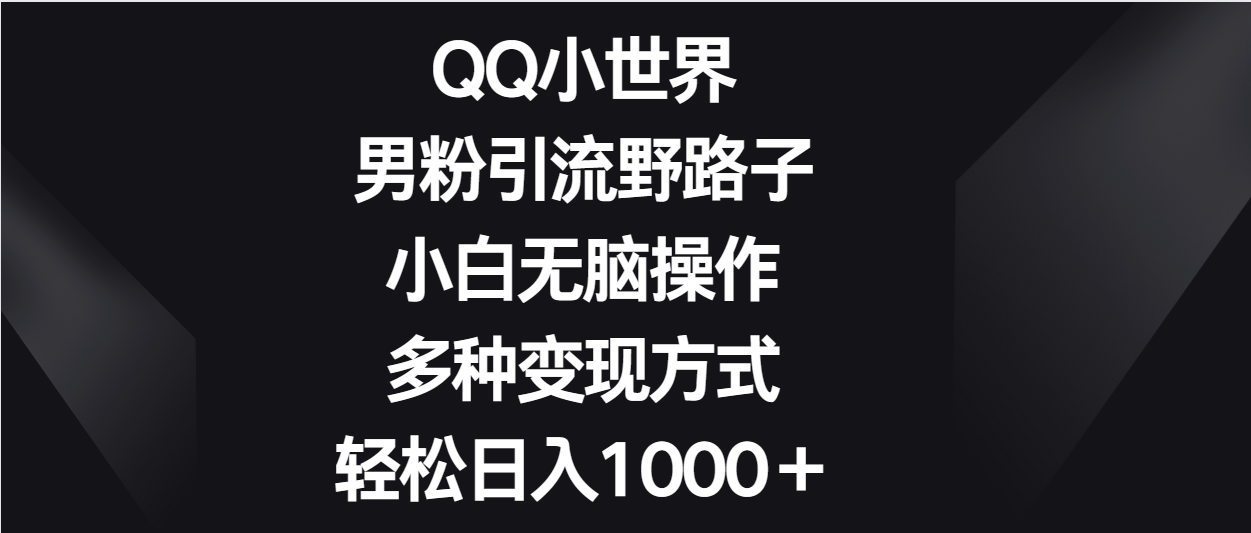 QQ小世界男粉引流野路子，小白无脑操作，多种变现方式轻松日入1000＋-夜影资源