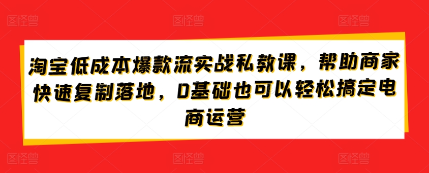 淘宝低成本爆款流实战私教课，帮助商家快速复制落地，0基础也可以轻松搞定电商运营-夜影资源