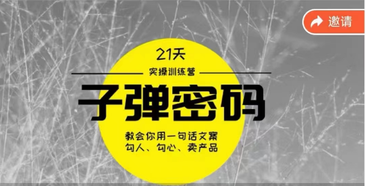 《子弹密码训练营》用一句话文案勾人勾心卖产品，21天学到顶尖文案大师策略和技巧-夜影资源