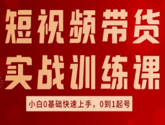 短视频带货实战训练课，好物分享实操，小白0基础快速上手，0到1起号-夜影资源