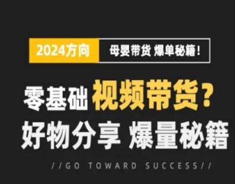 短视频母婴赛道实操流量训练营，零基础视频带货，好物分享，爆量秘籍-夜影资源