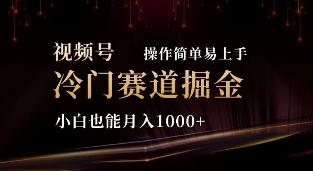 （11378期）2024视频号冷门赛道掘金，操作简单轻松上手，小白也能月入1000+-夜影资源