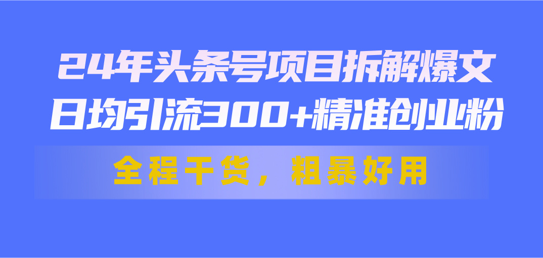 （11397期）24年头条号项目拆解爆文，日均引流300+精准创业粉，全程干货，粗暴好用-夜影资源