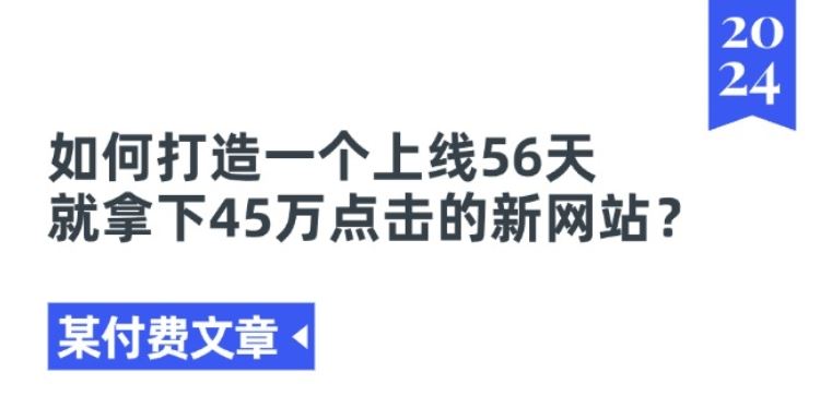 某付费文章《如何打造一个上线56天就拿下45万点击的新网站?》-夜影资源