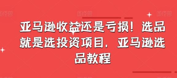 亚马逊收益还是亏损！选品就是选投资项目，亚马逊选品教程-夜影资源