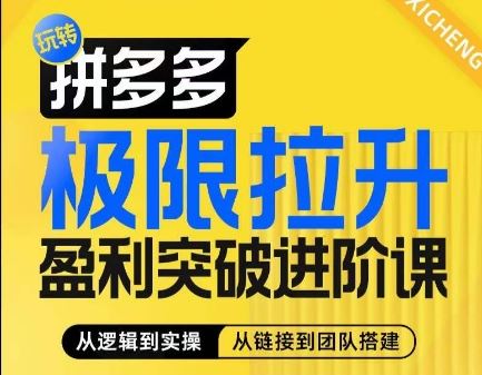 拼多多极限拉升盈利突破进阶课，​从算法到玩法，从玩法到团队搭建，体系化系统性帮助商家实现利润提升-夜影资源