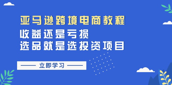 （11432期）亚马逊跨境电商教程：收益还是亏损！选品就是选投资项目-夜影资源
