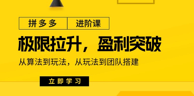 （11435期）拼多多·进阶课：极限拉升/盈利突破：从算法到玩法 从玩法到团队搭建-18节-夜影资源