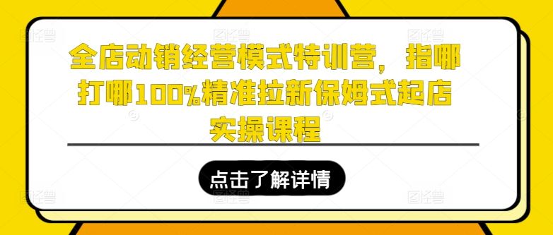全店动销经营模式特训营，指哪打哪100%精准拉新保姆式起店实操课程-夜影资源