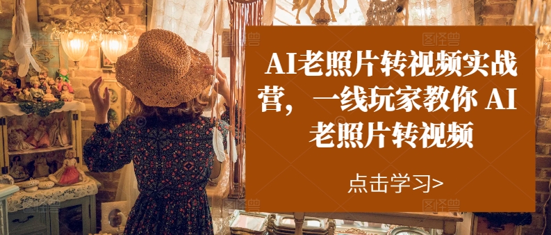 （11477期）AI老照片转视频实操训练营，一线玩家教你AI老照片转视频-夜影资源