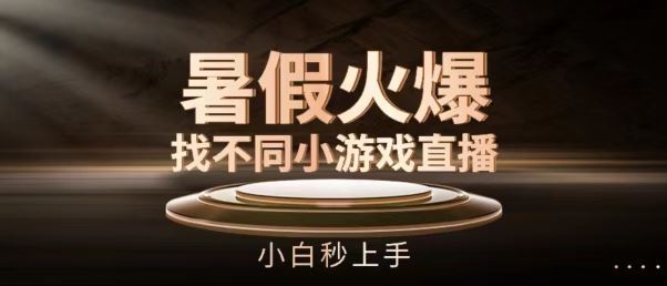 暑假火爆找不同小游戏直播间，小白秒上手【揭秘】-夜影资源