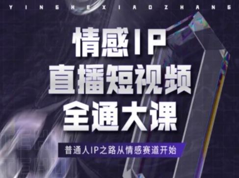 情感IP直播短视频全通大课，普通人IP之路从情感赛道开始-夜影资源