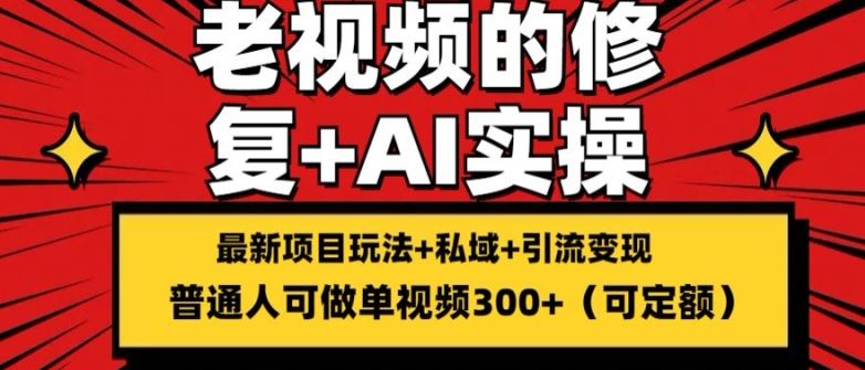 修复老视频的玩法，搬砖+引流的变现(可持久)，单条收益300+【揭秘】-夜影资源