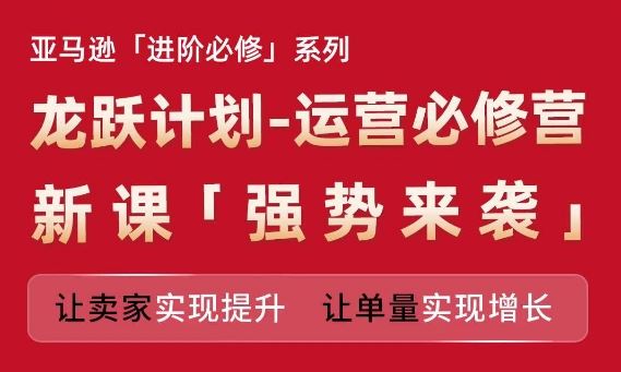 亚马逊进阶必修系列，龙跃计划-运营必修营新课，让卖家实现提升 让单量实现增长-夜影资源