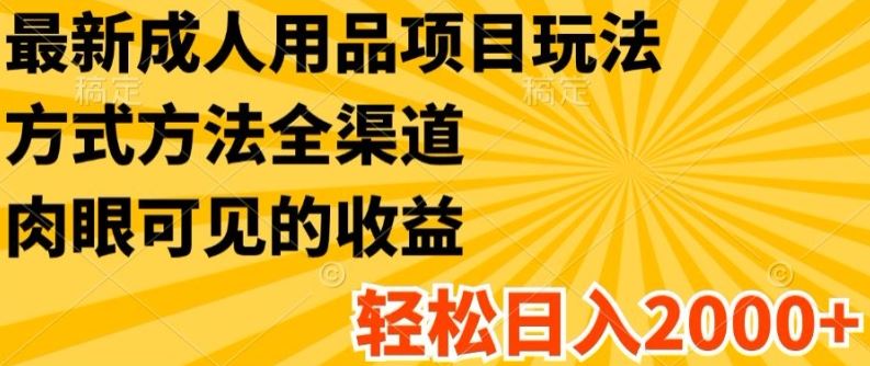 最新成人用品项目玩法，方式方法全渠道，轻松日入2K+【揭秘】-夜影资源