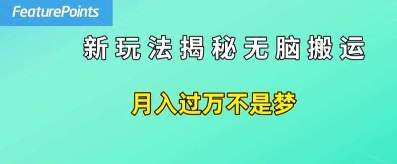 简单操作，每天50美元收入，搬运就是赚钱的秘诀【揭秘】-夜影资源
