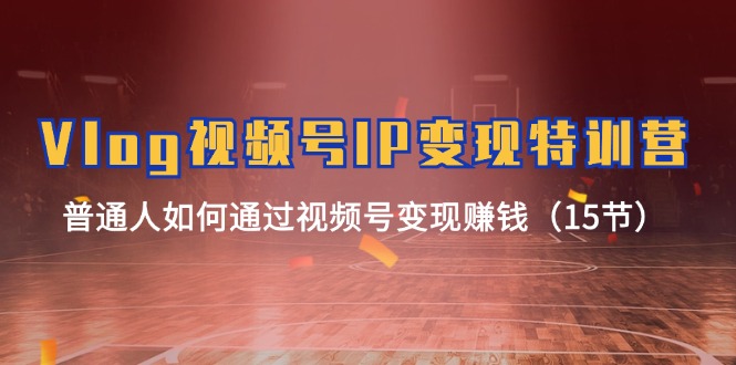 （11654期）Vlog 视频号IP变现特训营，普通人如何通过视频号变现赚钱（15节）-夜影资源