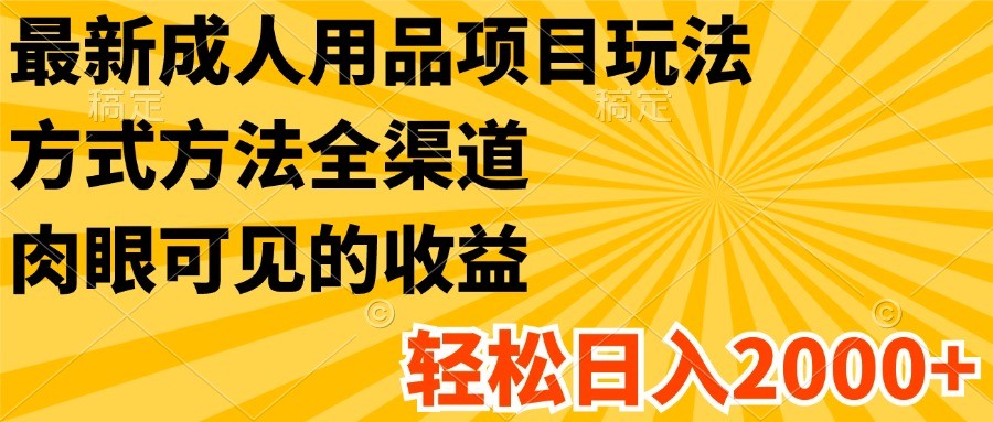 最新成人用品项目玩法，方式方法全渠道，肉眼可见的收益，轻松日入2000+-夜影资源