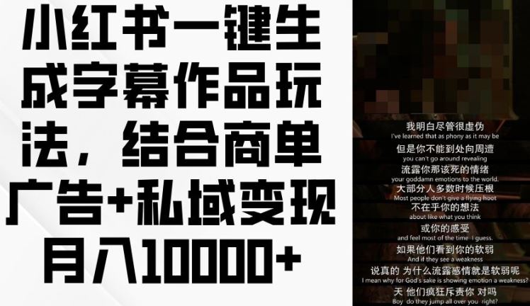 小红书一键生成字幕作品玩法，结合商单广告+私域变现月入1w+【揭秘】-夜影资源