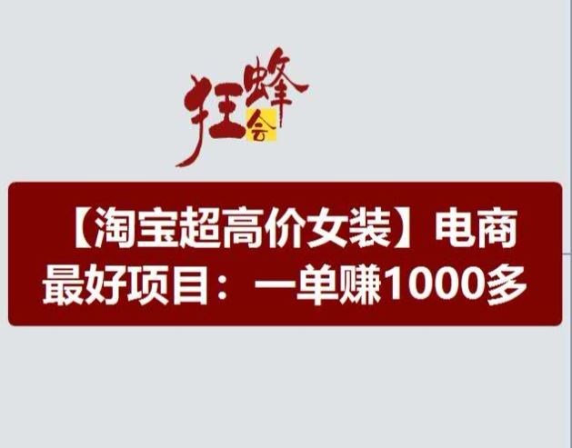 淘宝超高价女装项目，电商最好赛道，一单赚1000多-夜影资源